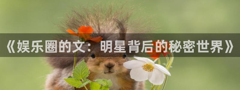 天狮娱乐：《娱乐圈的文：明星背后的秘密世界》