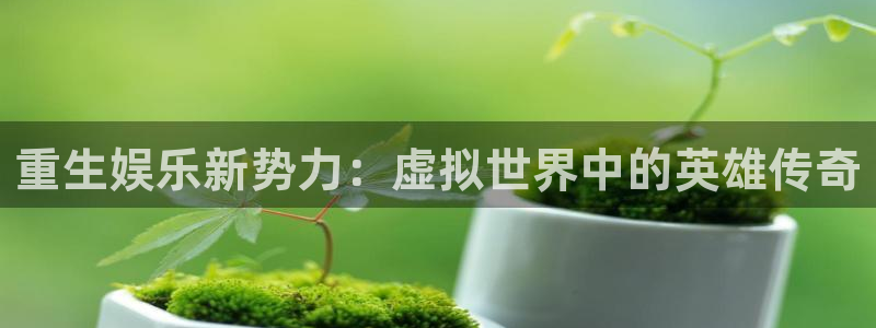 天狮娱乐：重生娱乐新势力：虚拟世界中的英雄传奇