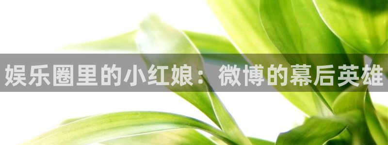 天狮娱乐