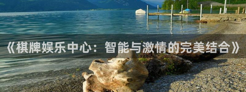 天狮娱乐：《棋牌娱乐中心：智能与激情的完美结合》