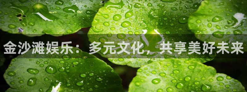 天狮娱乐：金沙滩娱乐：多元文化，共享美好未来