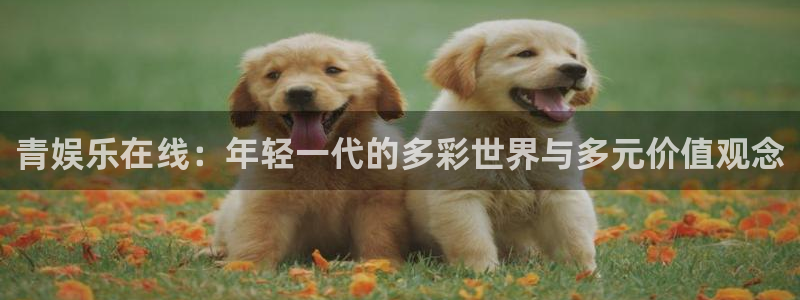 天狮娱乐：青娱乐在线：年轻一代的多彩世界与多元价值观念