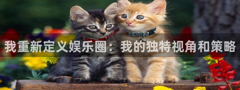 天狮娱乐：我重新定义娱乐圈：我的独特视角和策略