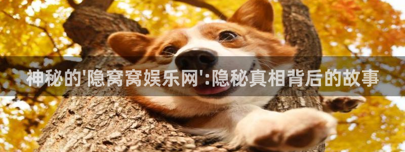 天狮娱乐：神秘的\'隐窝窝娱乐网\':隐秘真相背后的故事