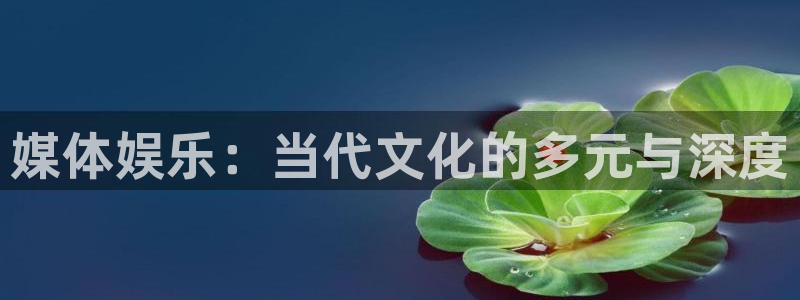 天狮娱乐：媒体娱乐：当代文化的多元与深度