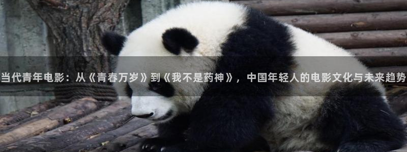 天狮娱乐：当代青年电影：从《青春万岁》到《我不是药神》，中国年轻人的电影文化与未来趋势